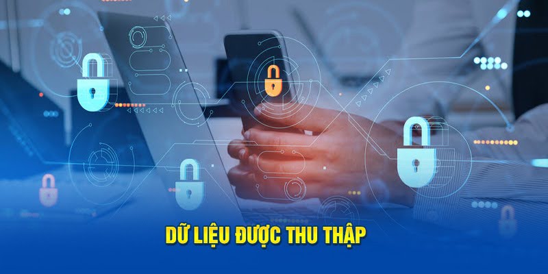 Dữ liệu được thu thập 